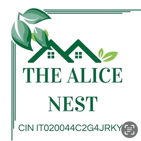 The Alice Nest *